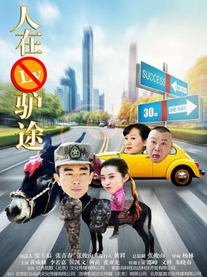 《卿城旧事》封面