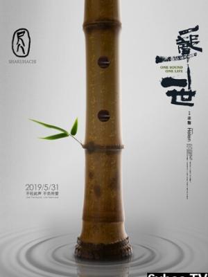 《旧唱片行》海报